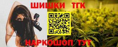 прущие крисы Гатчина