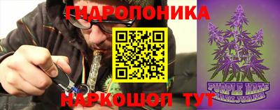 прущие крисы Гатчина