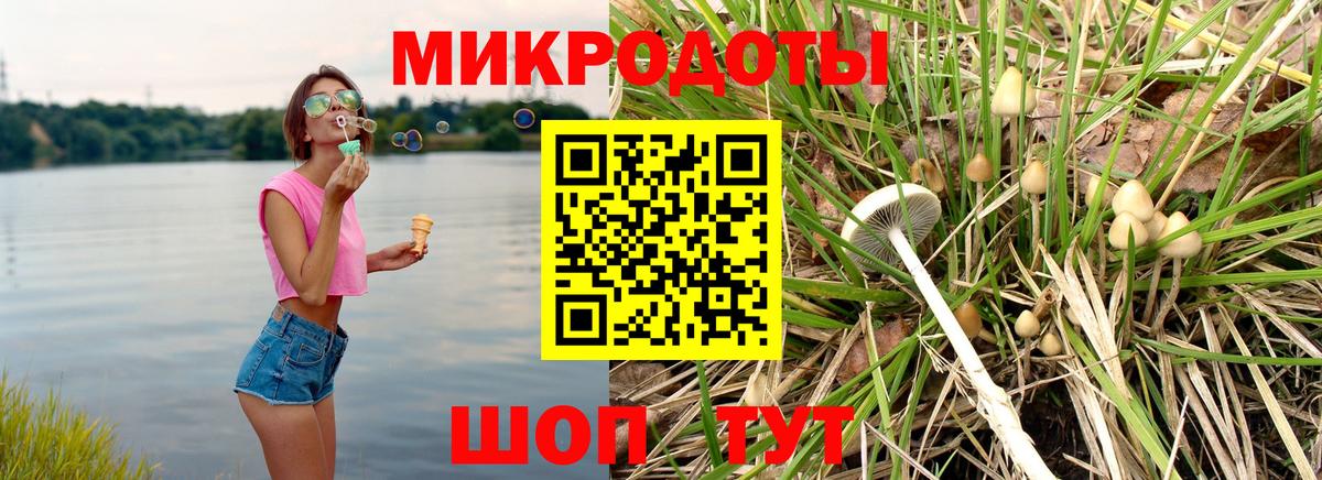 Москва  Псилоцибиновые грибы Psilocybe  Псилоцибиновые грибы Cubensis  Вход с VPN 