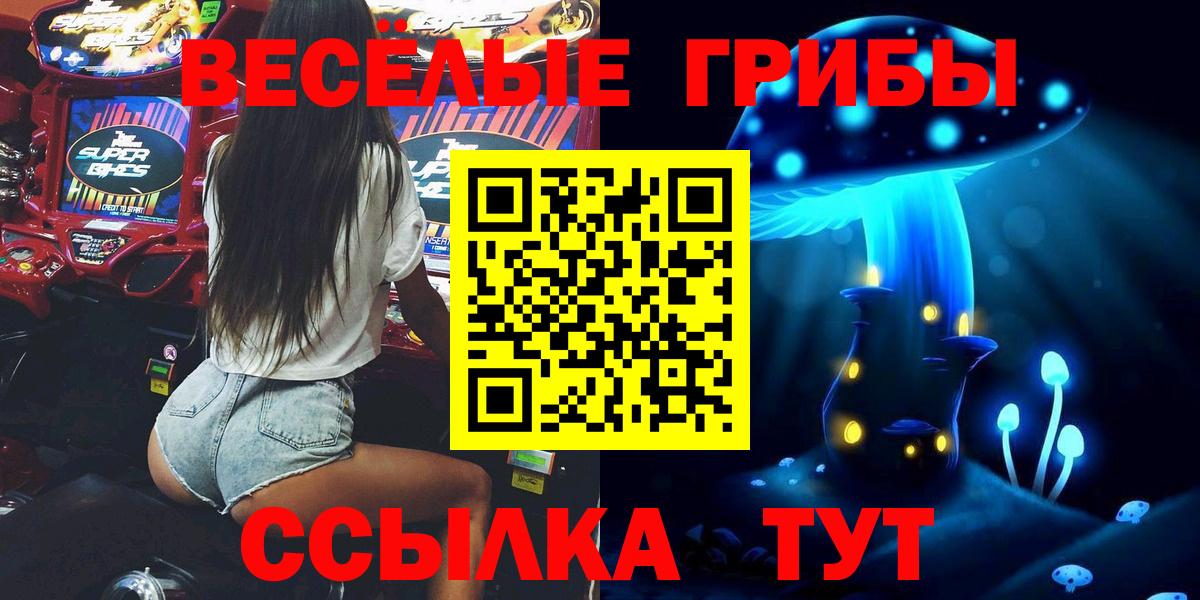 Псилоцибиновые грибы мухоморы Москва